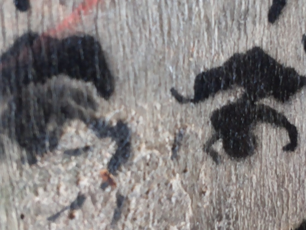 Loucos, quase mansos e cheios de tesão 