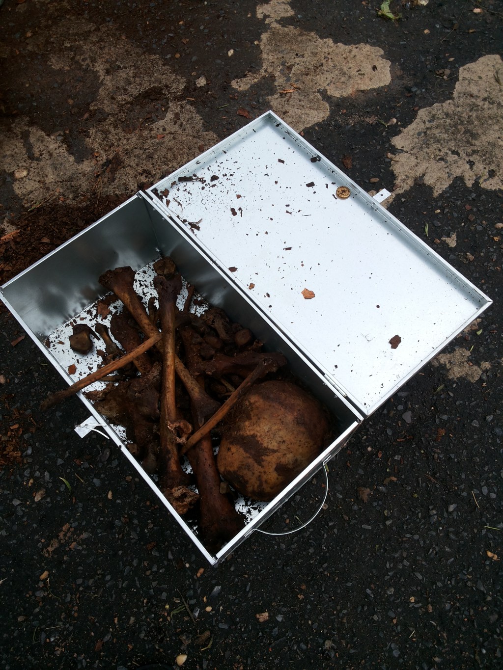 O que aprendi com o livro ‘O Estrangeiro’