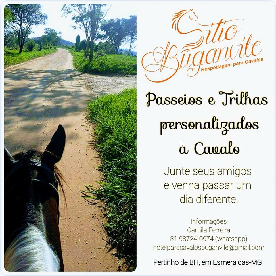 “Sítio Buganvile” – Hospedagem Para Cavalos: Um Paraíso&nbsp;Equino